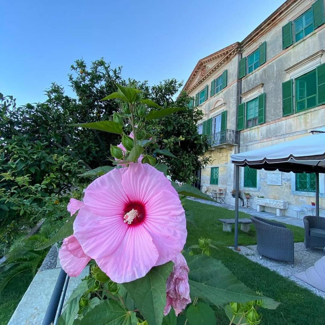 Agriturismo Villa Cavallini Камайоре Екстериор снимка