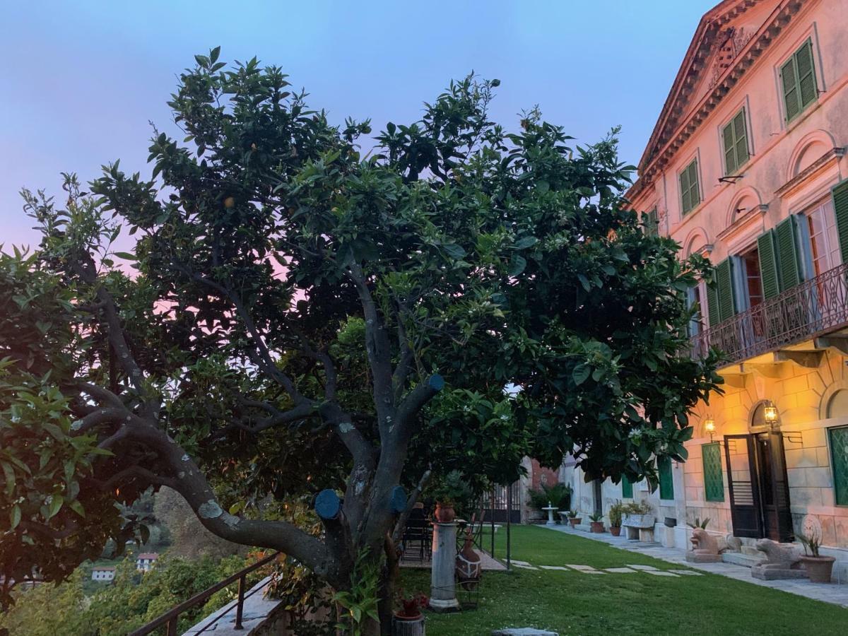 Agriturismo Villa Cavallini Камайоре Екстериор снимка